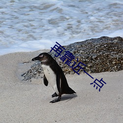 乐虎国际·lehu(中国)官方网站登录