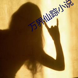 万(萬)界仙踪(蹤)小说
