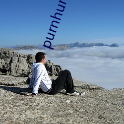 purnhurb官方地址
