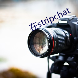 在stripchat