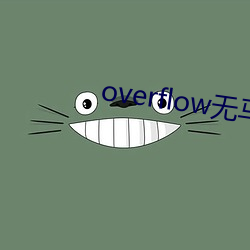 overflow无(wú)马赛版