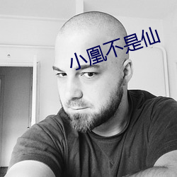 小(xiǎo)凰不是仙