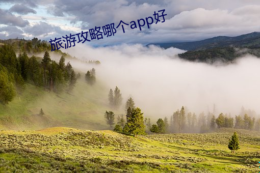 旅游攻(gōng)略哪(nǎ)个app好(hǎo)