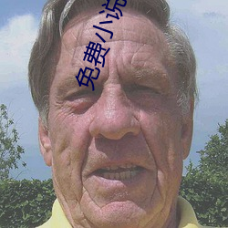 免费(fèi)小(xiǎo)说阅读