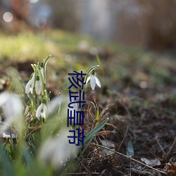 918博天堂·(中国)手机版客户端