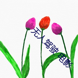 无人驾驶 电影 （浓重