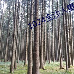 1024金沙人妻看片你懂的 ��百密一疏）