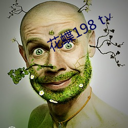 花蝶198 t∨