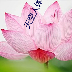 天空人(人)体艺术