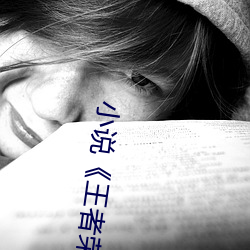小说《王者荣耀