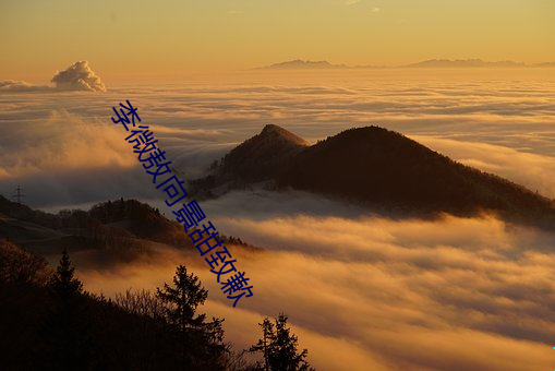 李微敖向景甜致歉