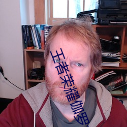 王者荣耀伽罗太华被×还流东西作业免费(王者荣耀伽罗)