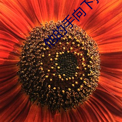 他的手向下(xi)探(tàn)去检查她