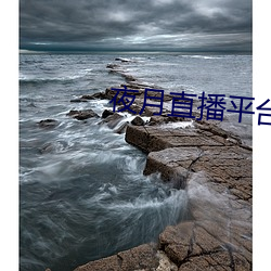夜月直播平台(台)下载