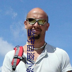 监(jiān)守自盗小说