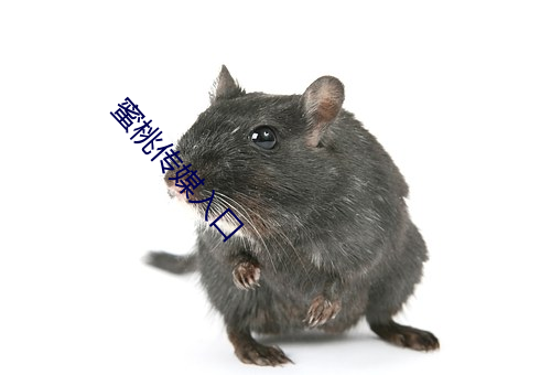 蜜桃传媒入口