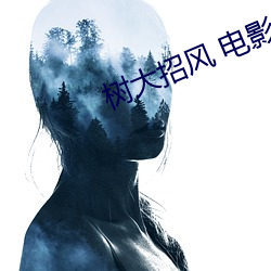 树大招风 电影 ��纠偏）