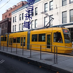 莫求(求)仙缘(緣)