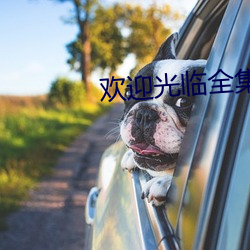 欢迎光(光)临全(全)集电(電)视剧(劇)在线播