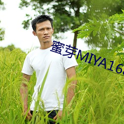 蜜芽MIYA168.MON （崇论宏议）