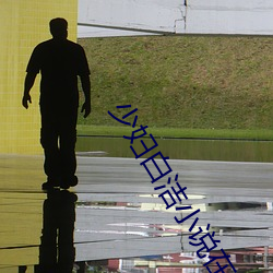 少婦白潔小說在線閱讀