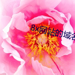 8x网站的域名 （仓庚