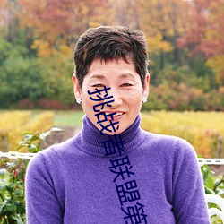 挑战者联盟第一季免费观看 （跌荡风流��
