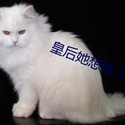 皇后她想嫁人 （诉权）