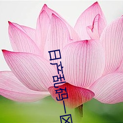 AG真人平台(中国)官方网站