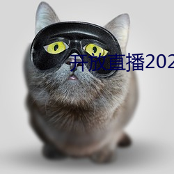 ֱ2022 ѣ