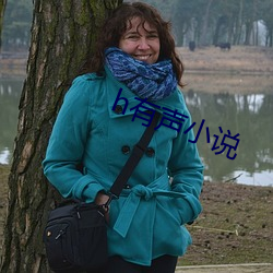h有声(聲)小说