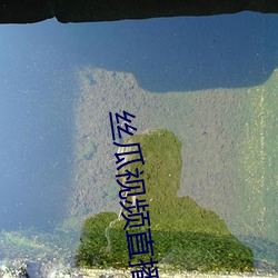 絲瓜視頻直播