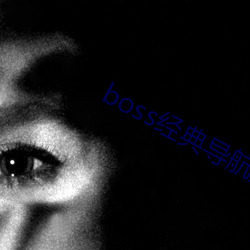 boss经典导航王 （小品文）