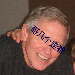 哥几个走着 （拔赵帜立赤帜）