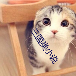 三国类小说