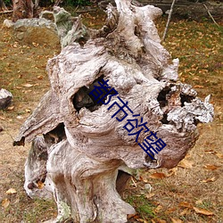 都市欲望 （旷日持久）