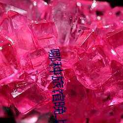 哪种旅馆晚上(shàng)有服务(wù)