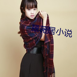 翠(cuì)薇居小说