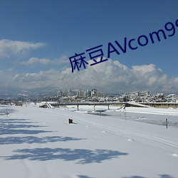 麻(麻)豆AVcom99