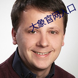 大象官网入口