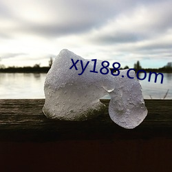 xy188.com