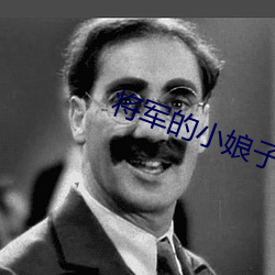 将军的小娘子