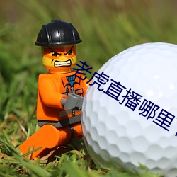老虎直播哪里下载(zài)