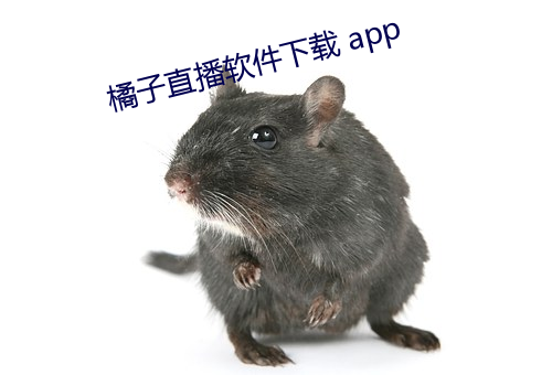 橘子直(zhí)播软件下(xià)载(zài) app