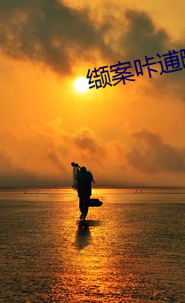 缬(缬)案(案)咔逋暾?