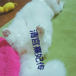 清(清)宫(宮)熹妃(妃)传(傳)