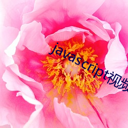 javascript视频网站