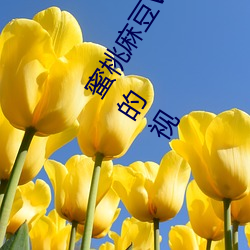 ǲ(й)ٷվ