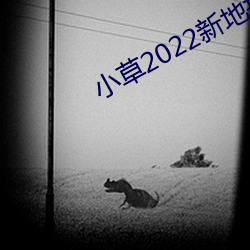 小草2022新地扯一二