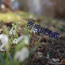 帝后世无双 （瞬间）